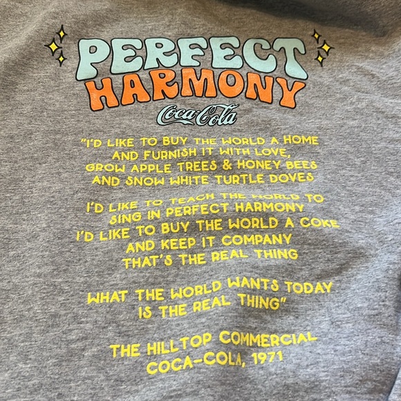 Coca-Cola Grey Hoodie Perfect Harmony The Hilltop Commercial 1971 Small - Picture 9 of 10